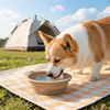 Cuenco plegable port&aacute;til para perros, sin BPA, TPE ABS, cuenco plegable para mascotas, alimentador port&aacute;til para perros con altura ajustable para viajes