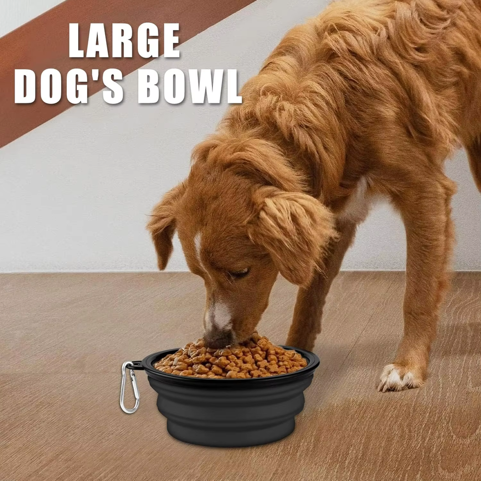 Meilleur classement fabrication Portable pliable bol pour chien nourriture eau alimentation Silicone TPE pliable bol pour animaux de compagnie
