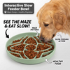 2027 新着抗窒息遅い摂食猫犬ディスク環境に優しいシリコーンペットフード食器ボウル