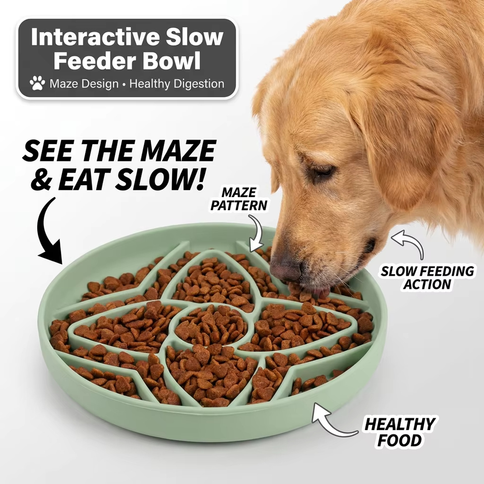 2027 新着抗窒息遅い摂食猫犬ディスク環境に優しいシリコーンペットフード食器ボウル