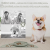 Meilleures ventes Silicone gamelle pour ingestion lente bol pour chien ventouses imperm&eacute;able tapis d'alimentation pour animaux de compagnie avec l&egrave;vres hautes avec ensemble de bol pour chien