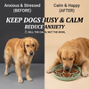 Disque Anti-&eacute;touffement pour chien et chat, Anti-&eacute;touffement, disque &eacute;cologique en Silicone pour aliments pour animaux de compagnie, bols, nouvel arrivage 2027