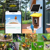 スマート 3.2L リス防止鳥の餌箱、自動モーション検出屋外ワイヤレス WiFi バードウォッチング カメラ付き